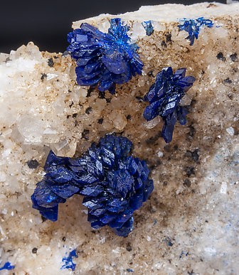 Azurite with Quartz. 