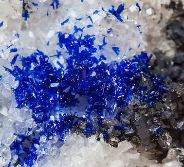 Azurite with Quartz. 