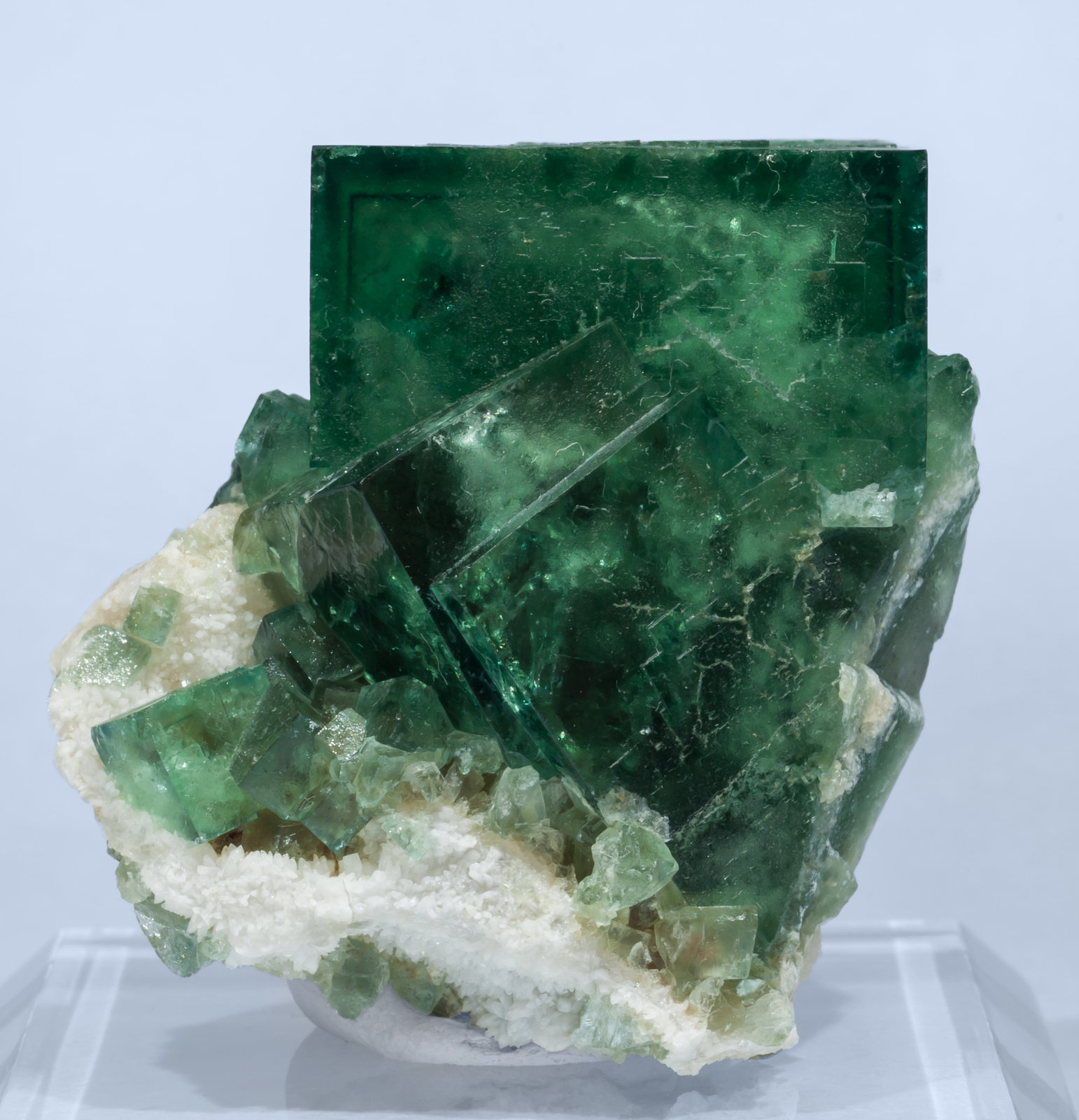 specimens/s_imagesAI1/Fluorite-EF66AI1f.jpg