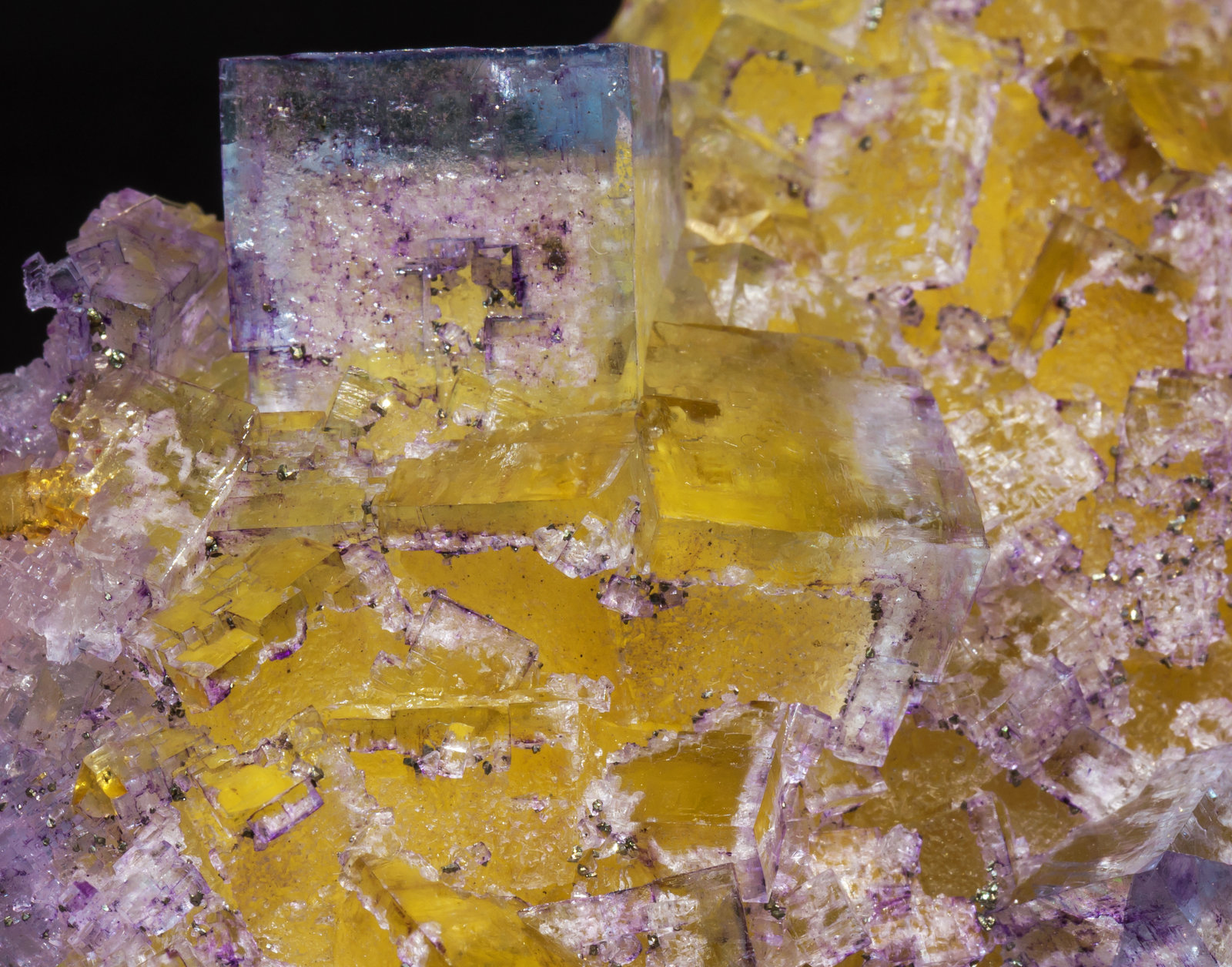 specimens/s_imagesAI1/Fluorite-ER56AI1d2.jpg