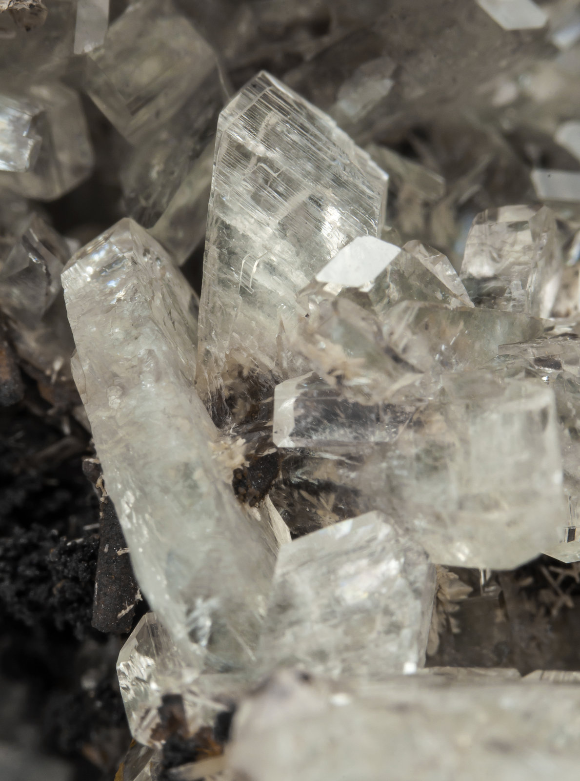 specimens/s_imagesAI1/Tarbuttite-EM16AI1d2.jpg