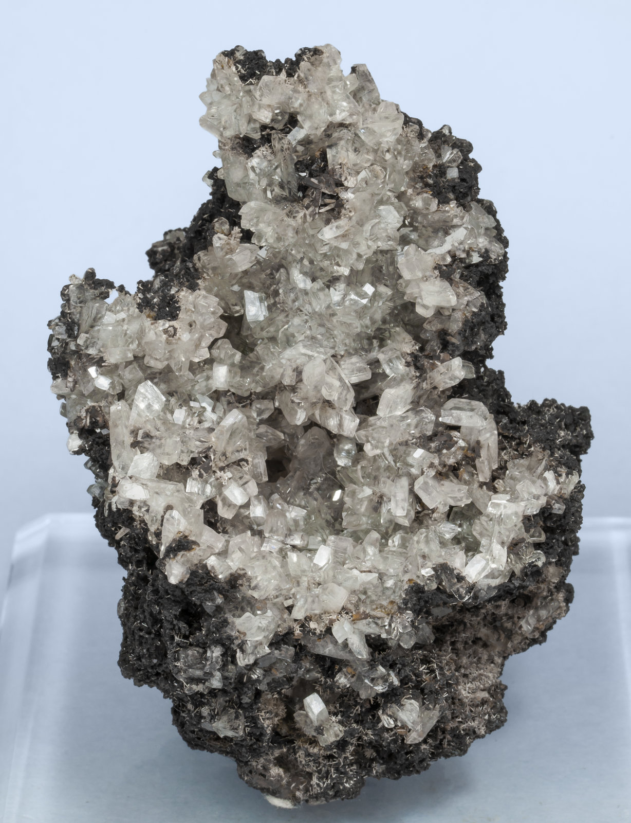 specimens/s_imagesAI1/Tarbuttite-EM16AI1f.jpg