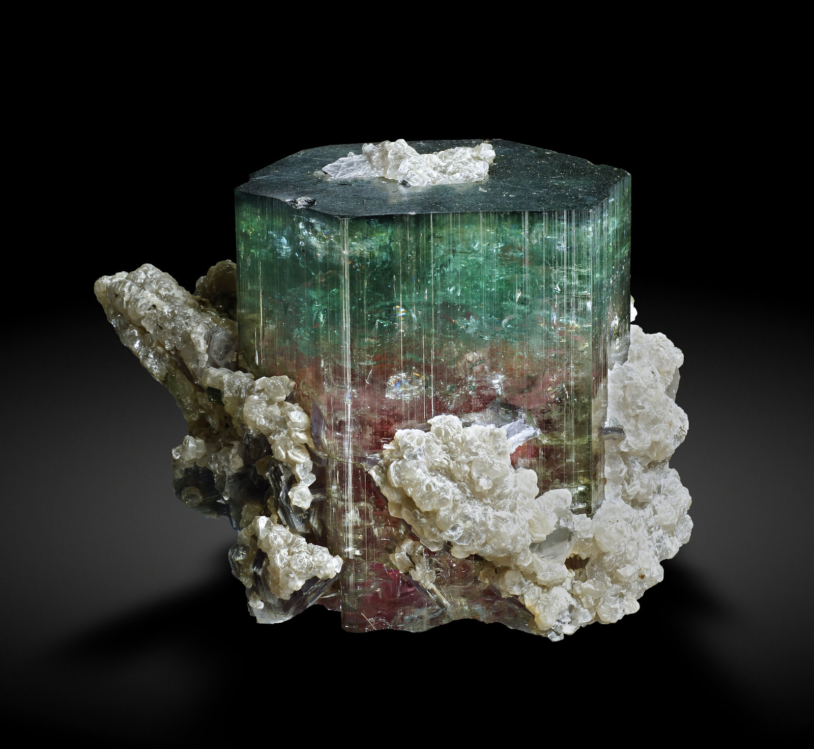 specimens/s_imagesAI2/Elbaite-NF29AI2_3933_f.jpg