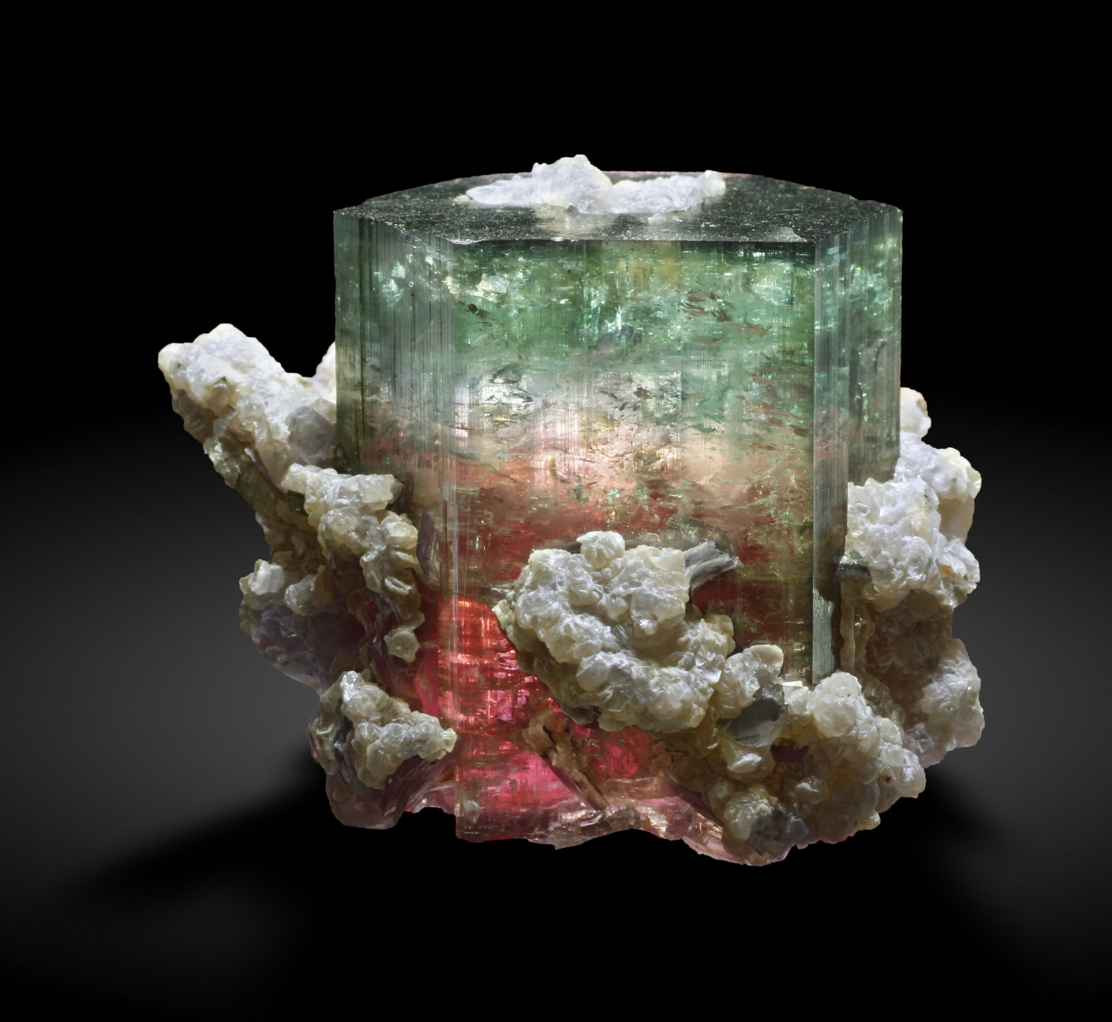 specimens/s_imagesAI2/Elbaite-NF29AI2_3933_r.jpg