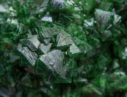 Adamite (variety cuprian). 