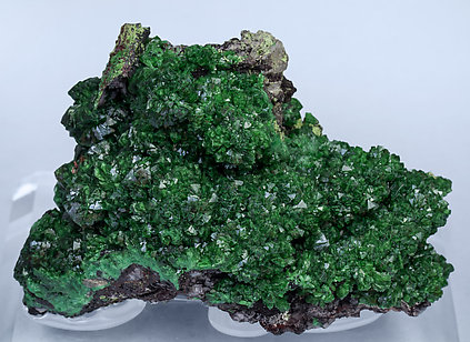 Adamite (variety cuprian). 