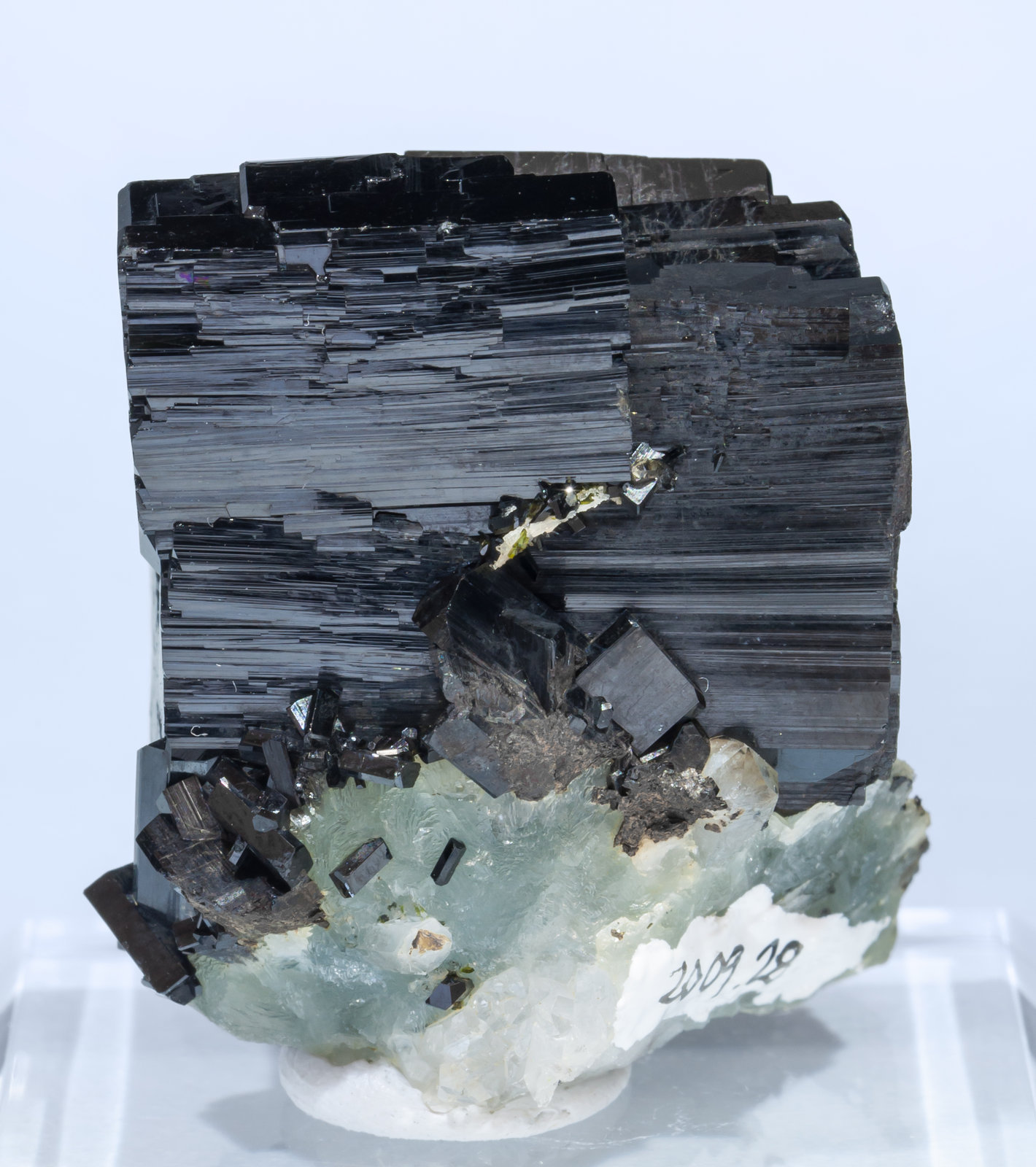 specimens/s_imagesAI3/Babingtonite-CA67AI3r.jpg