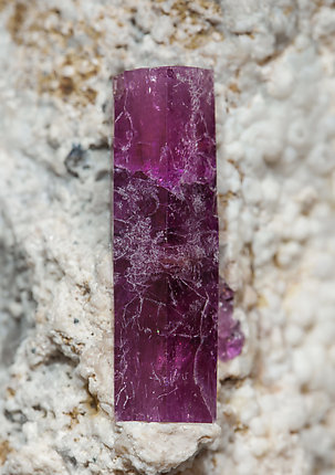 Beryl (variety red beryl). 