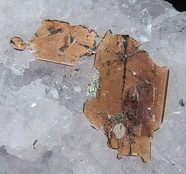 Brookite with Quartz. 