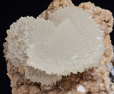 Calcite with Pyrite. 