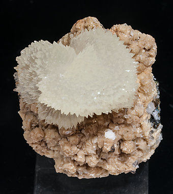 Calcite with Pyrite.