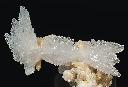 Calcite with Pyrite. 