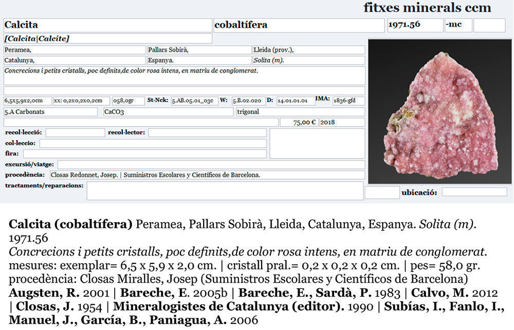 specimens/s_imagesAI3/Calcite_cobaltoan-CM12AI3e.jpg