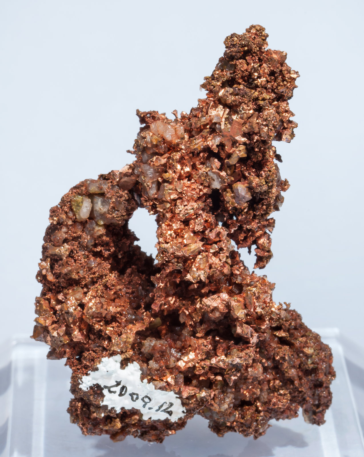 specimens/s_imagesAI3/Copper-CP11AI3r.jpg