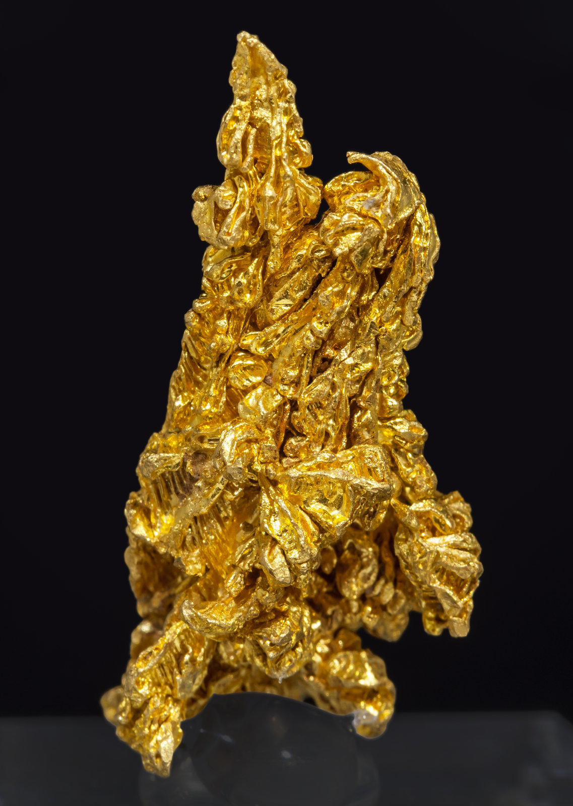 specimens/s_imagesAI3/Gold-TW48AI3r.jpg