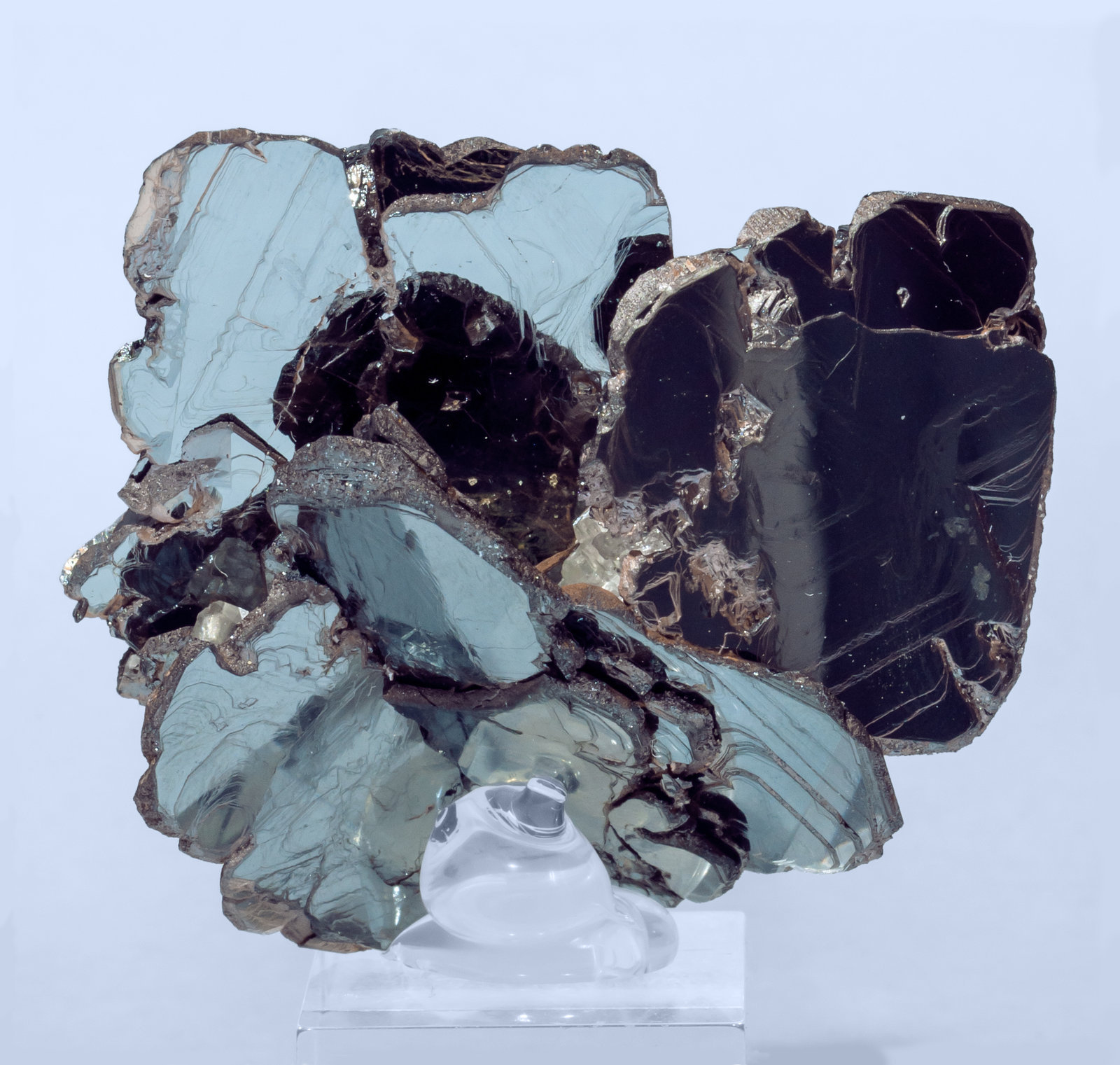 specimens/s_imagesAI3/Hematite-NH66AI3r.jpg