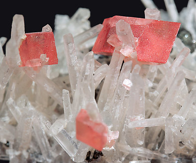 Rhodochrosite with Quartz, Tetrahedrite and Pyrite. 