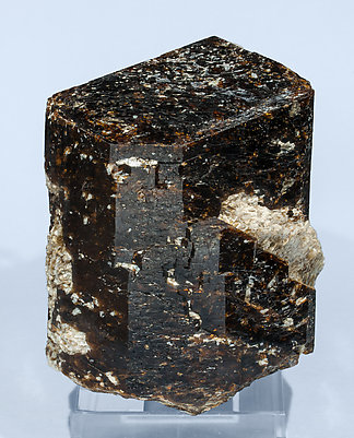 Dravite with Muscovite and Quartz. 