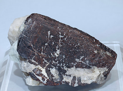 Tantalite-(Mn) with Calcite.