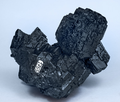 Schorl. Rear