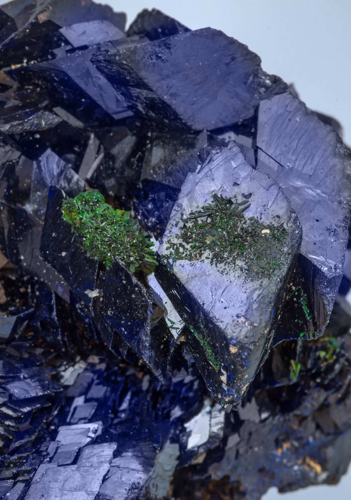 specimens/s_imagesAI5/Azurite-TY94AI5d.jpg