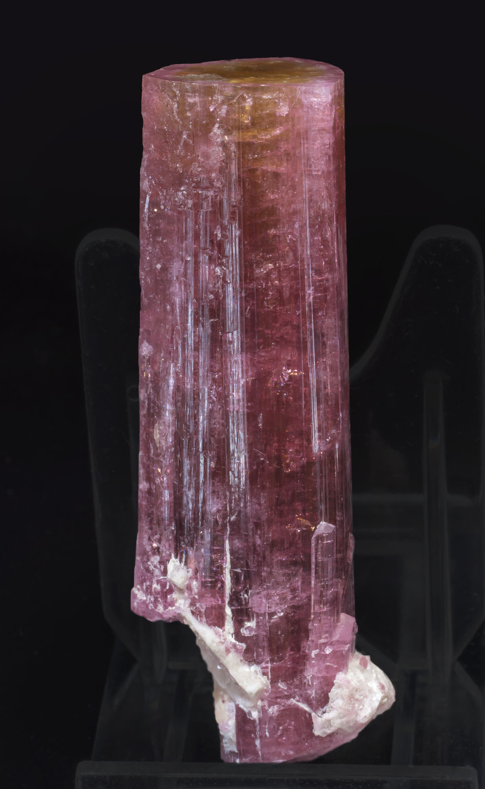 specimens/s_imagesAI5/Elbaite-EH89AI5r.jpg