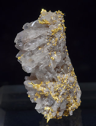 Gold with Quartz.