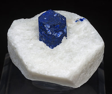 Lazurite (lapis lazuli variety) with Calcite.