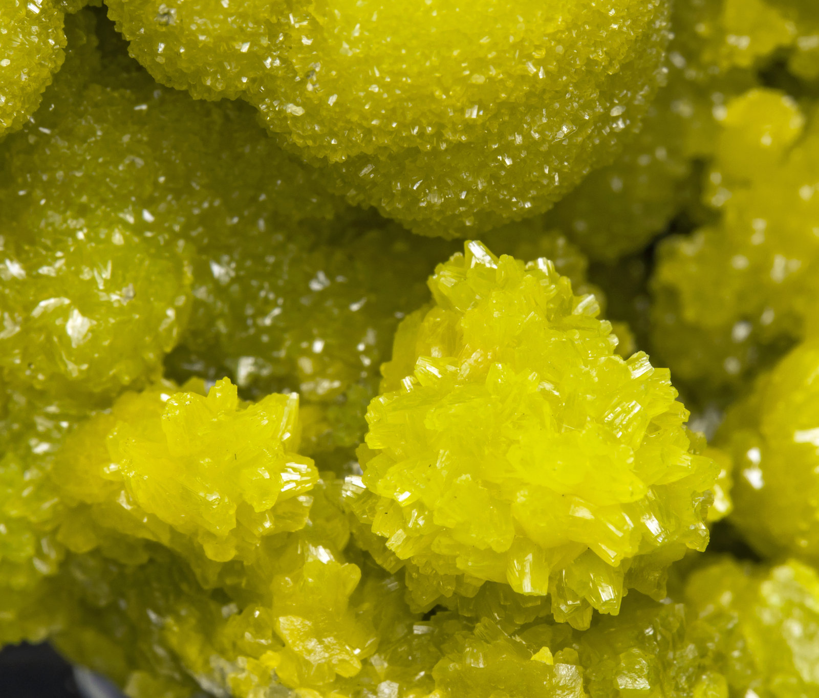 specimens/s_imagesAI5/Pyromorphite-EC27AI5d.jpg