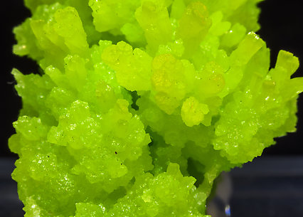 Pyromorphite. 