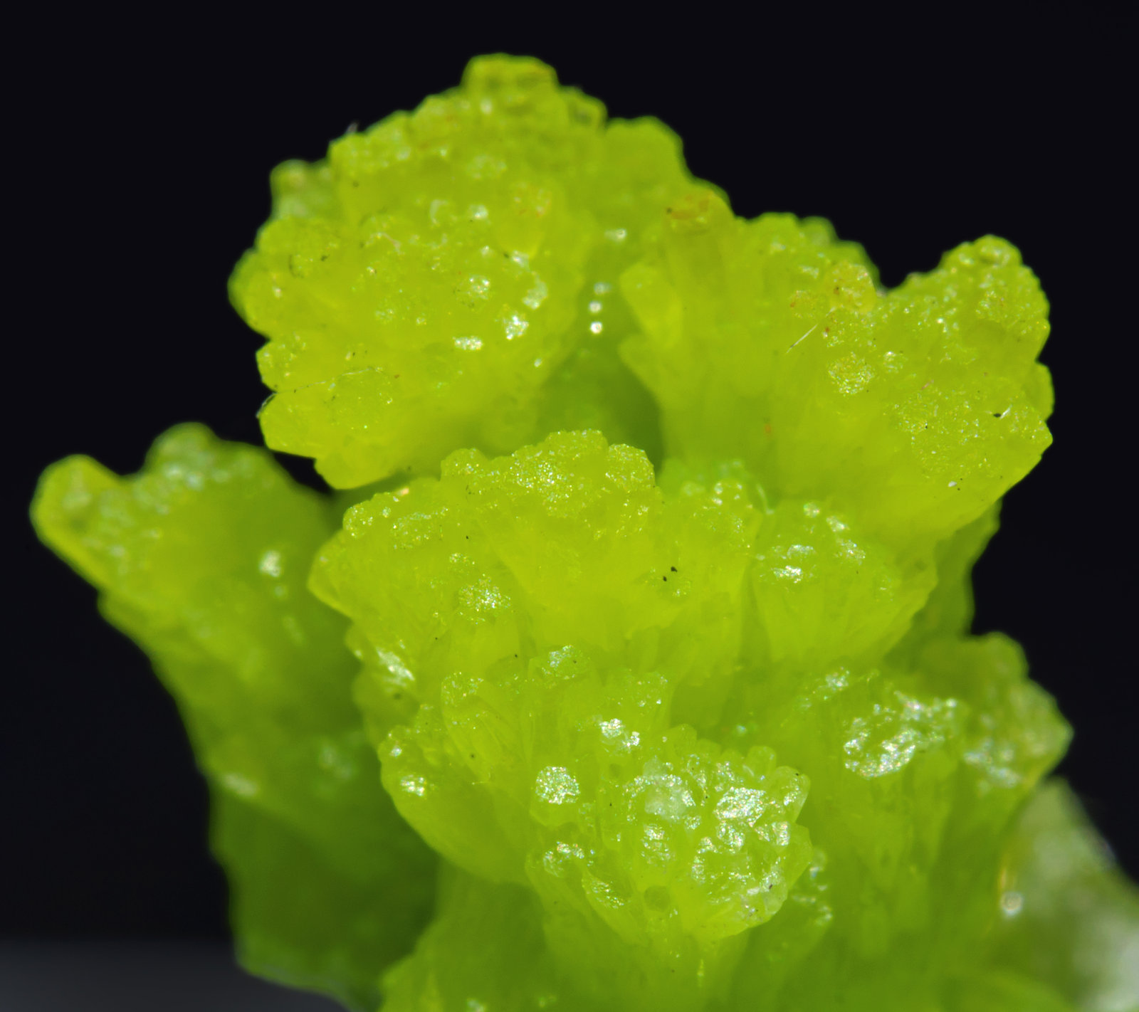 specimens/s_imagesAI5/Pyromorphite-NB10AI5d.jpg