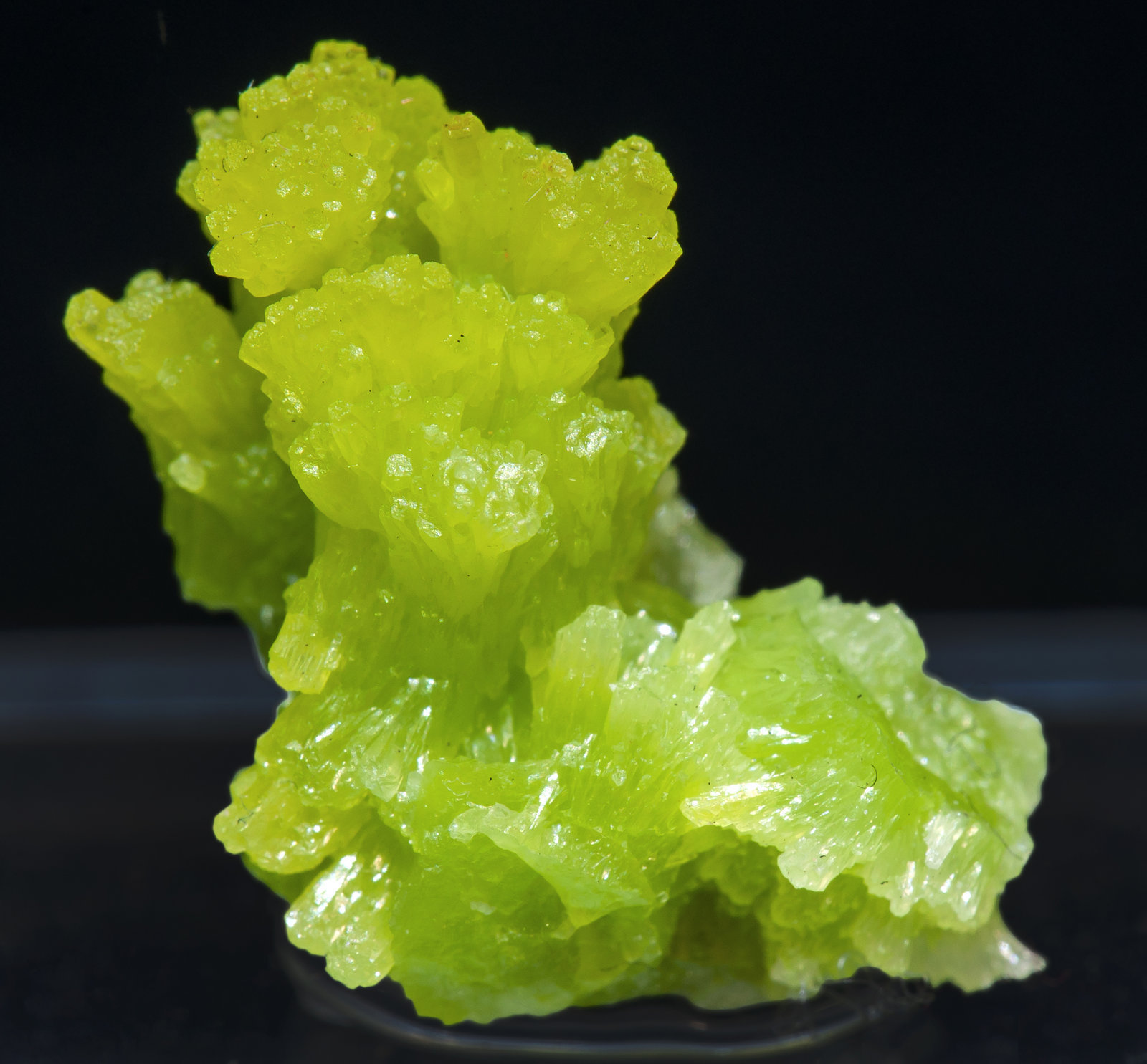 specimens/s_imagesAI5/Pyromorphite-NB10AI5f.jpg