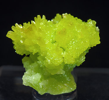 Pyromorphite. 