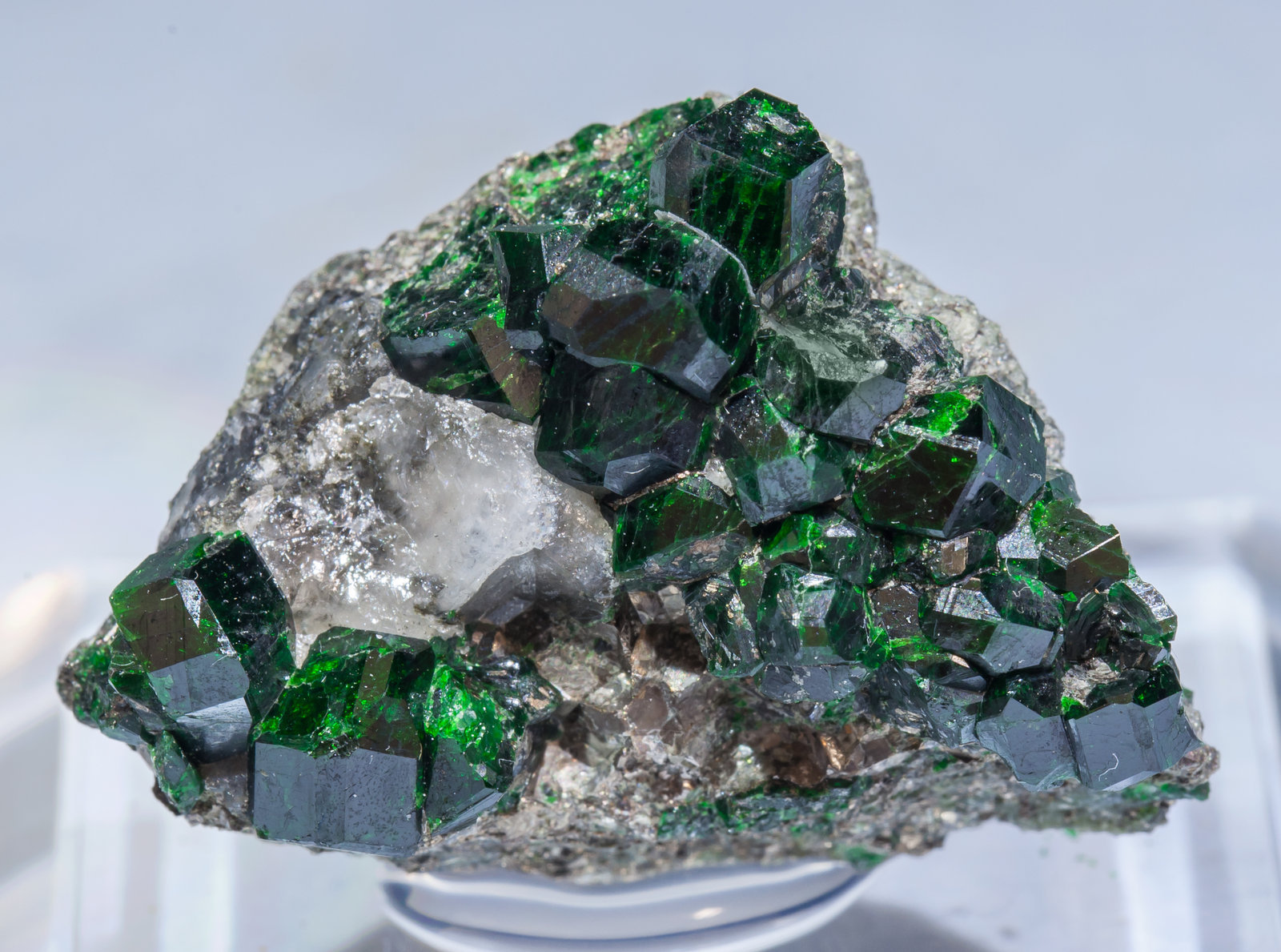 specimens/s_imagesAI5/Uvarovite-MV47AI5f.jpg