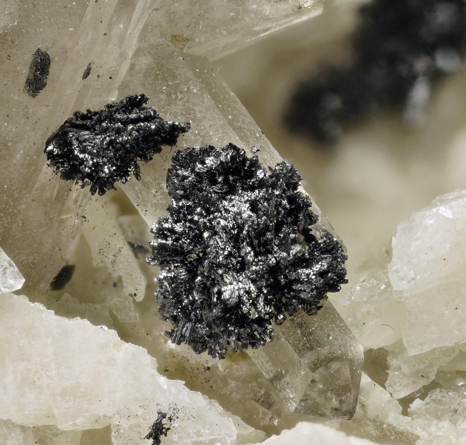 specimens/s_imagesAI6/Pyrophanite-TQ46AI6_5476_d.jpg