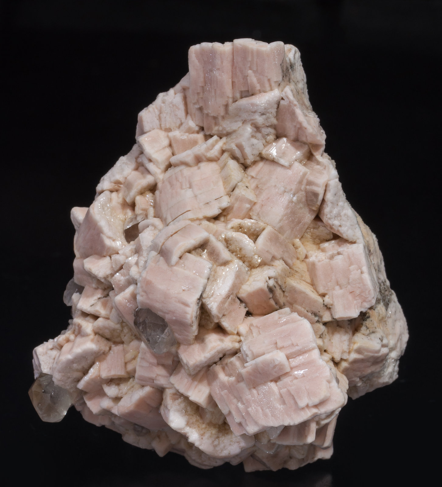 specimens/s_imagesAI7/Albite_Microcline-DR13AI7f.jpg