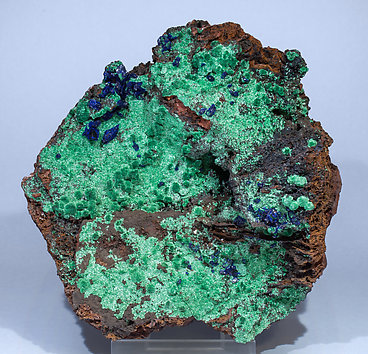 Azurite with Malachite. 