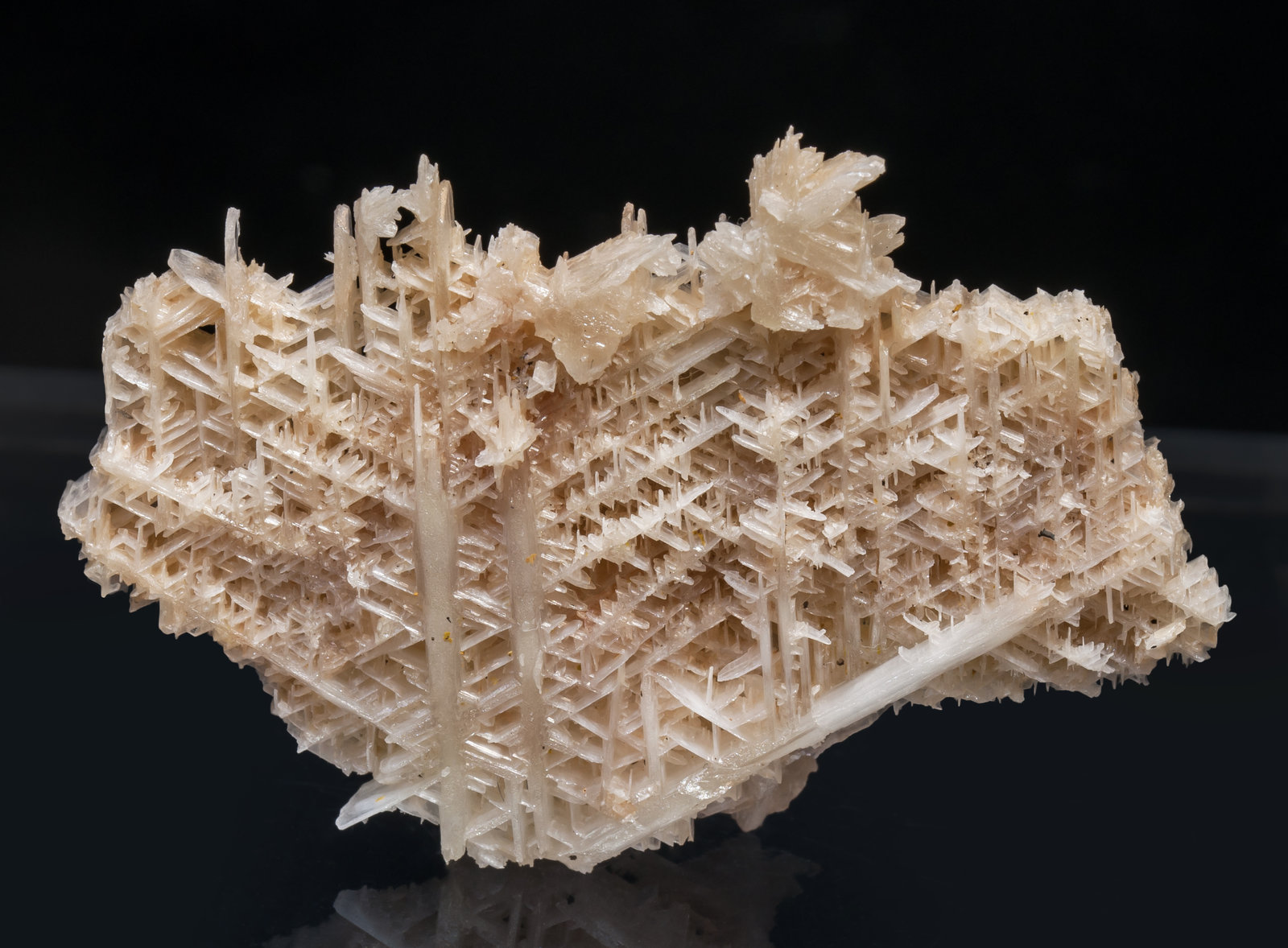 specimens/s_imagesAI7/Cerussite-NR89AI7f.jpg