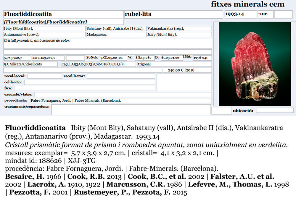 specimens/s_imagesAI7/Fluor-Liddicoatite-CD90AI7e.jpg