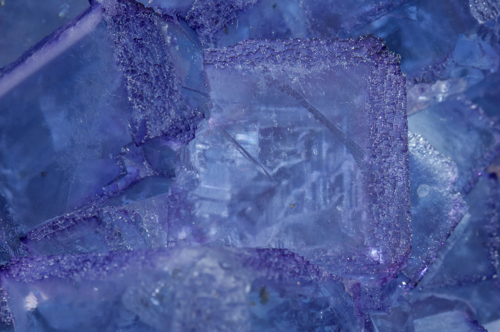 specimens/s_imagesAI7/Fluorite-MV56AI7d.jpg