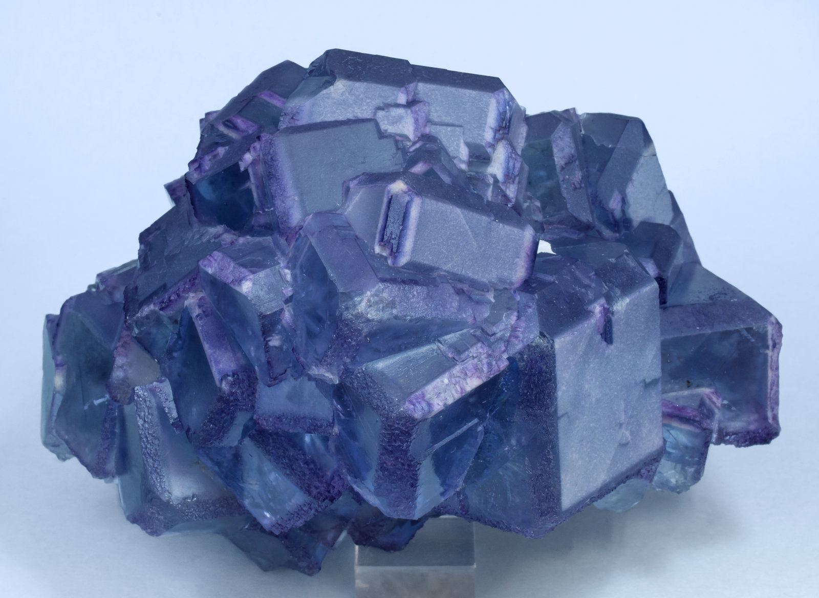 specimens/s_imagesAI7/Fluorite-MV56AI7t.jpg