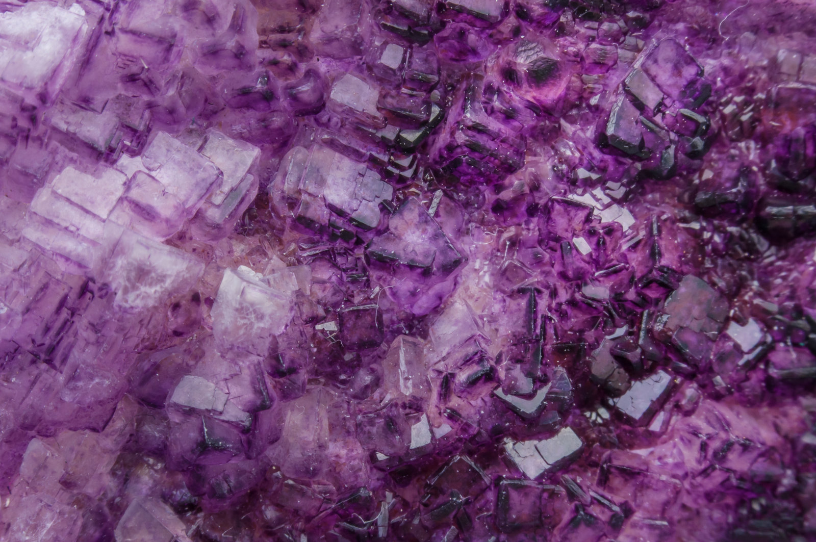 specimens/s_imagesAI7/Fluorite-NB86AI7d.jpg