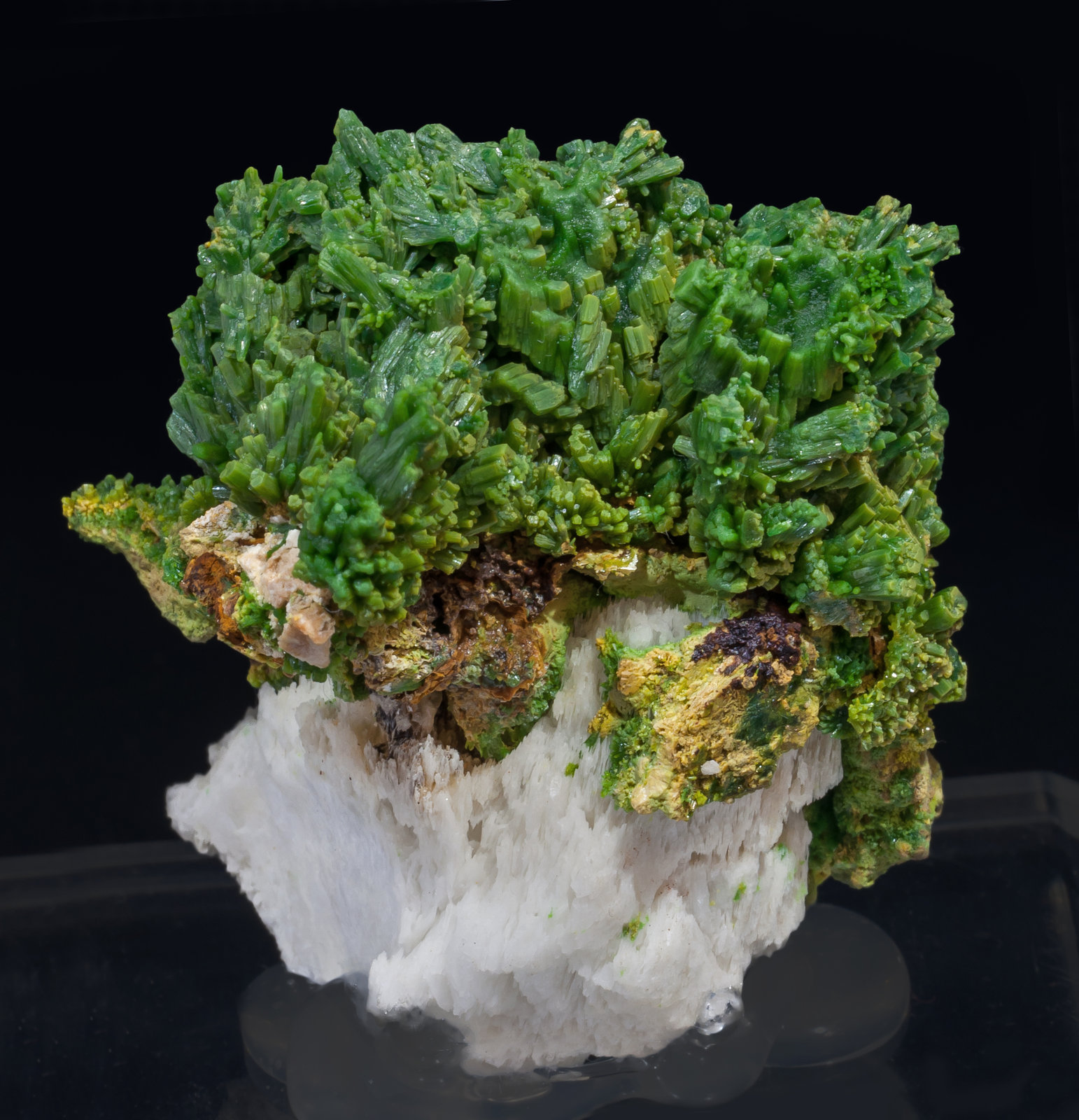 specimens/s_imagesAI7/Pyromorphite-EG9AI7r.jpg