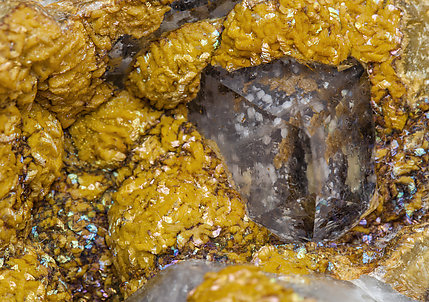 Siderite with Quartz (variety amethyst). 