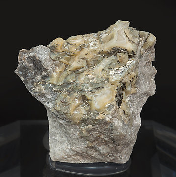 Calaverite with Calcite. 