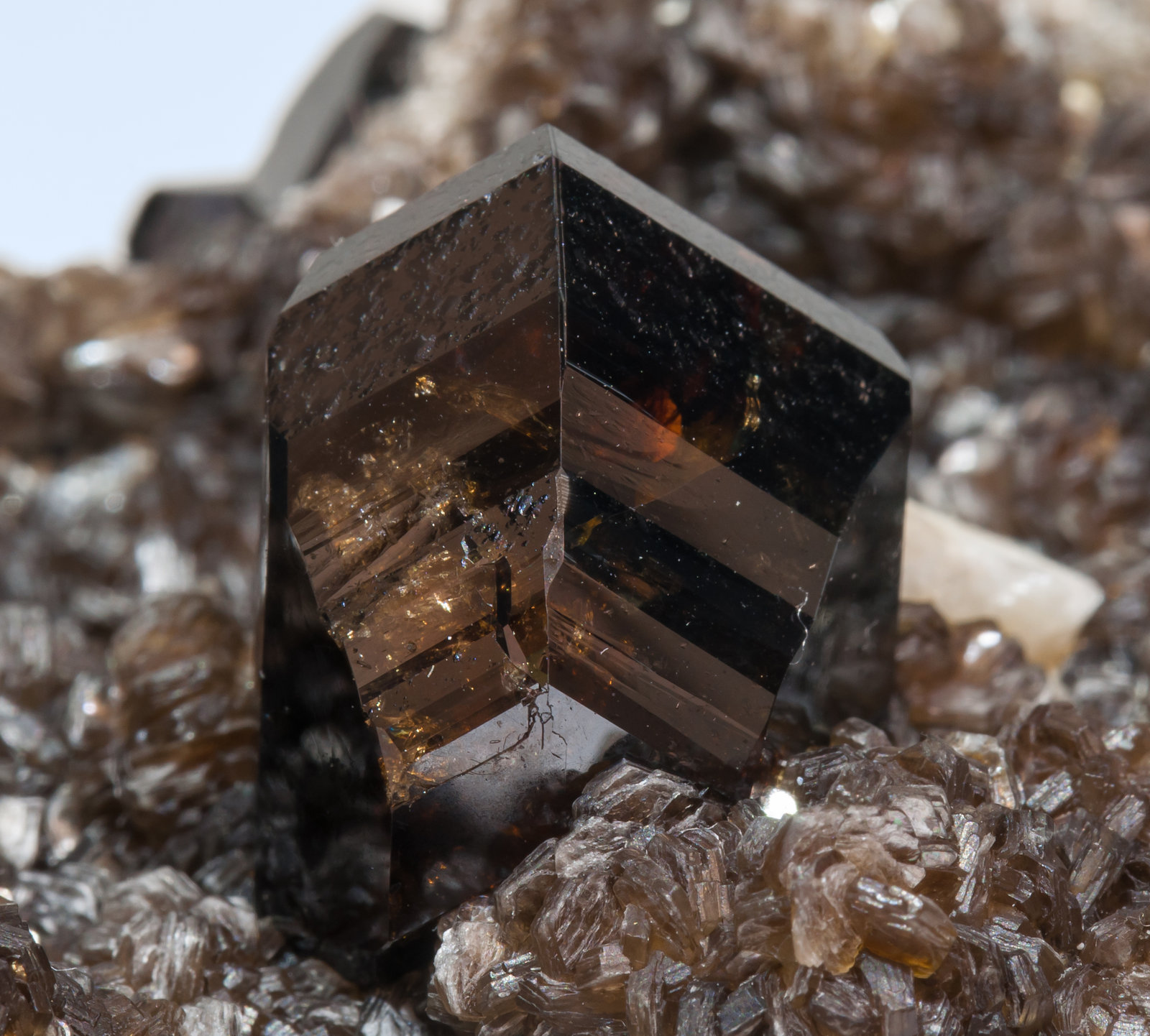 specimens/s_imagesAI8/Cassiterite-EH93AI8d.jpg