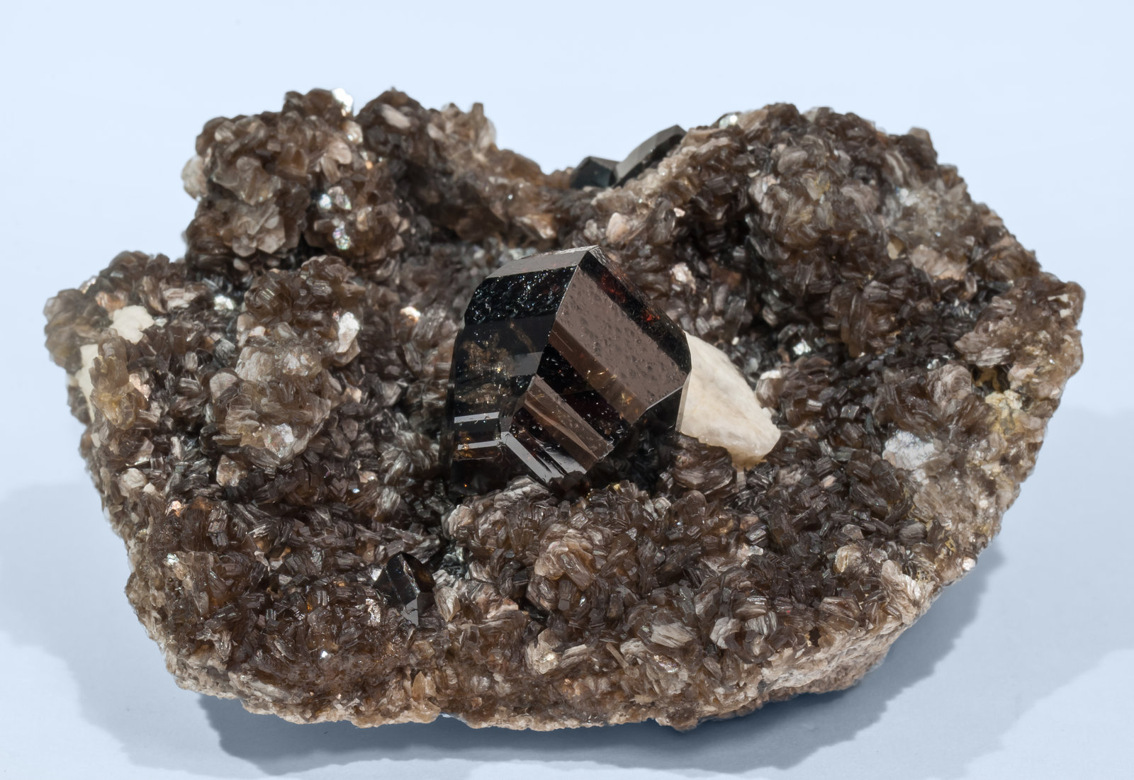 specimens/s_imagesAI8/Cassiterite-EH93AI8s1.jpg