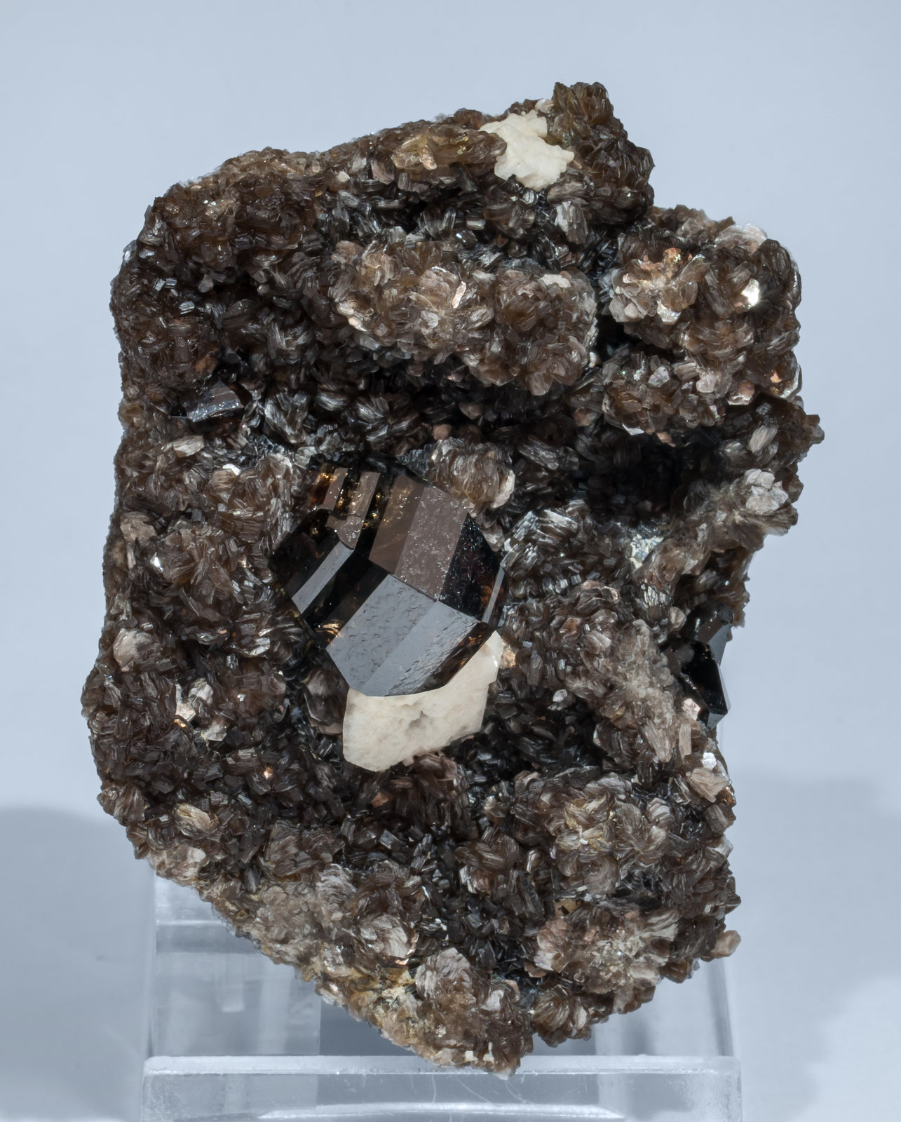 specimens/s_imagesAI8/Cassiterite-EH93AI8s2.jpg