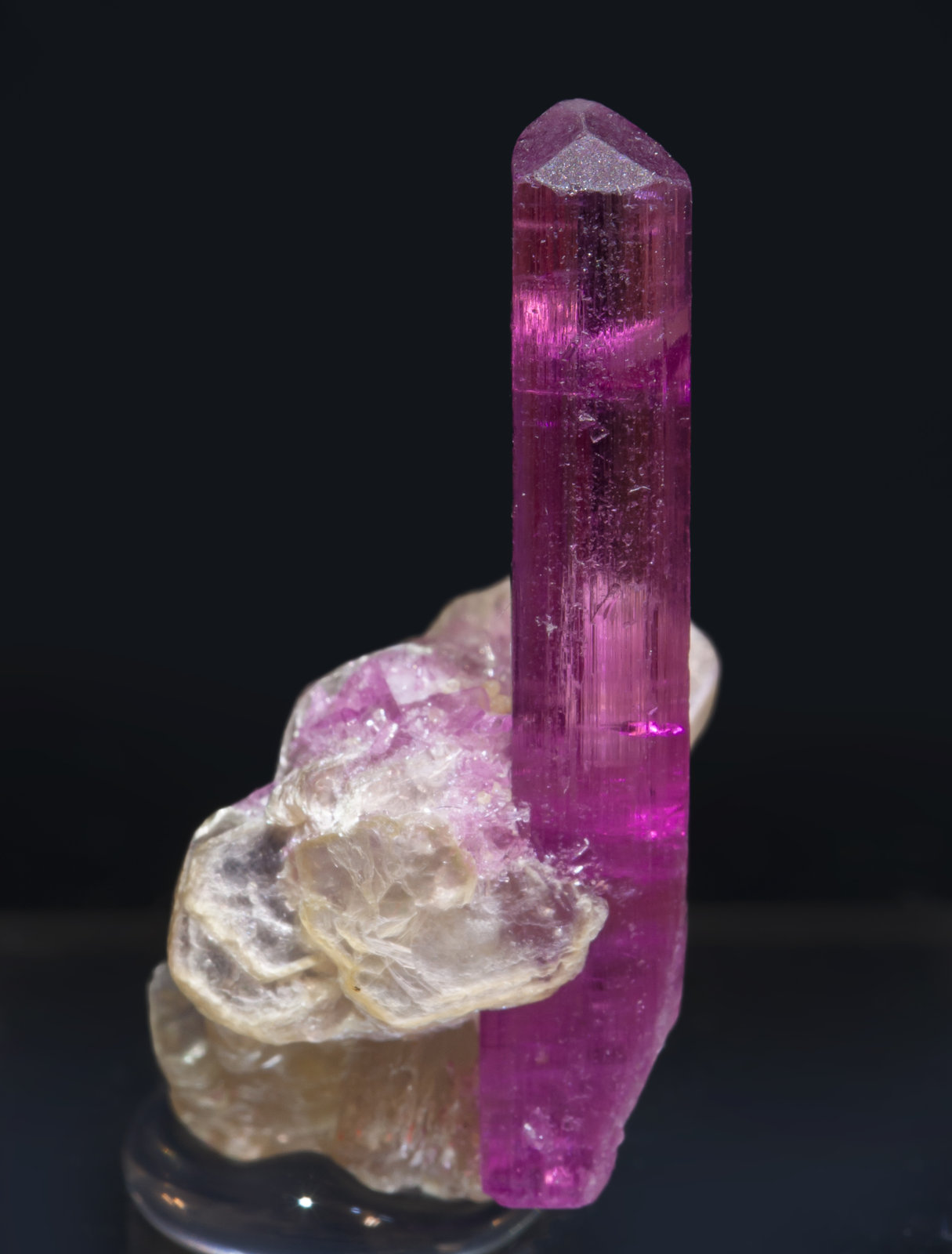 specimens/s_imagesAI8/Elbaite-MB67AI8f.jpg