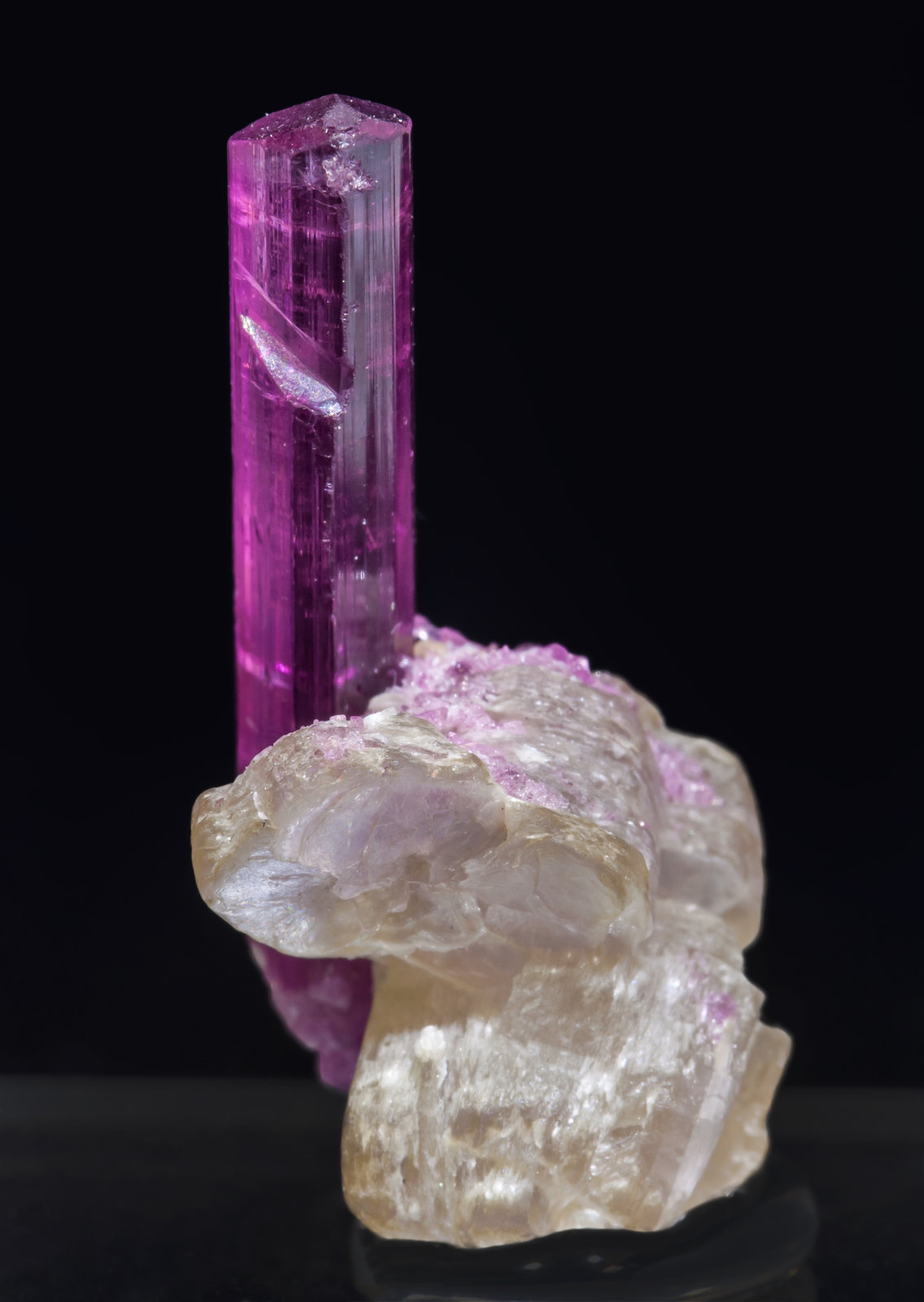 specimens/s_imagesAI8/Elbaite-MB67AI8r.jpg